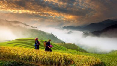 bài thơ TÔI YÊU TIẾNG NƯỚC TÔI